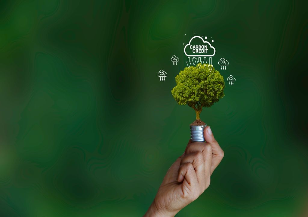 Créditos de carbono