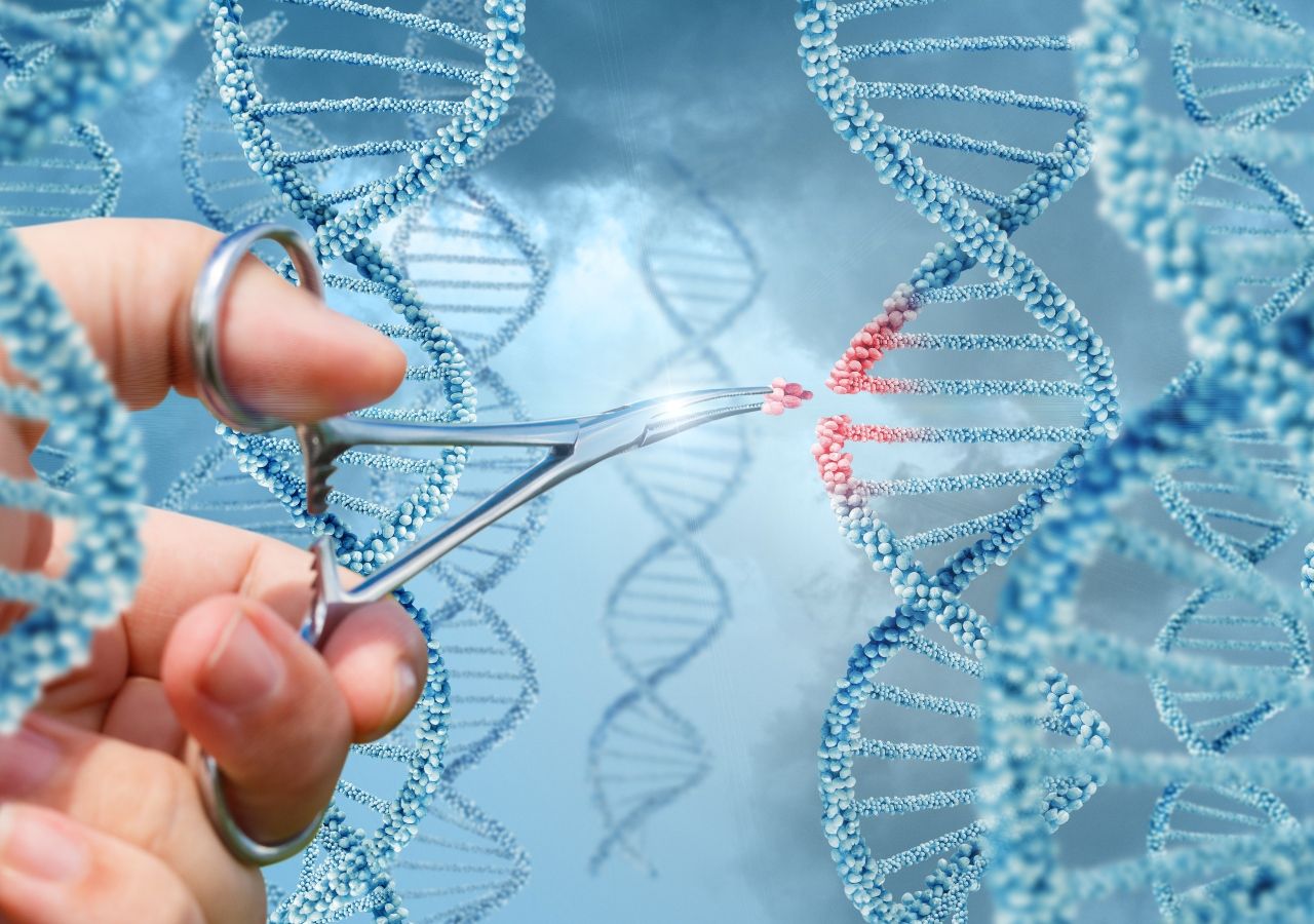 Sequenciamento Completo Do Genoma Humano é Anunciado