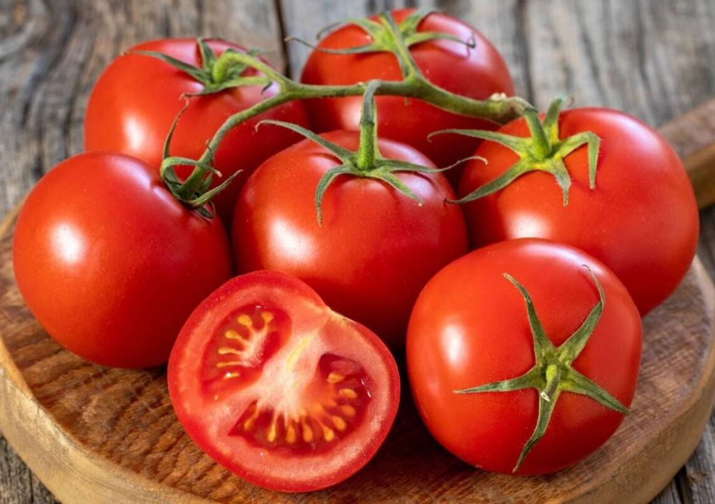 tomates tomates