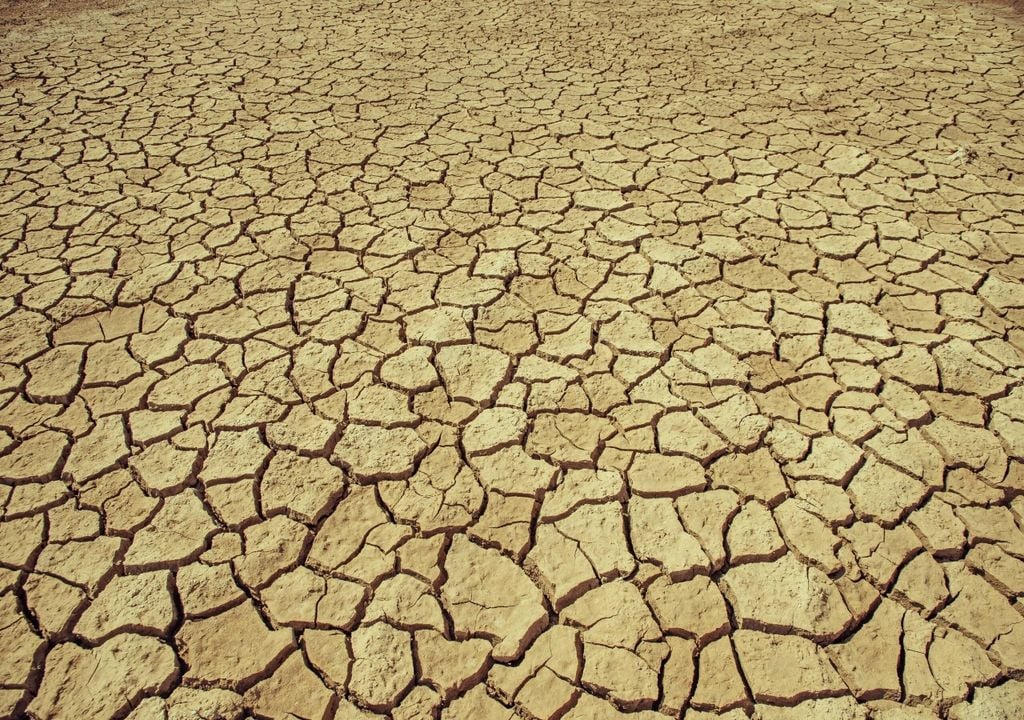 Cambio climático