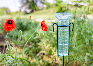 Esta es la cantidad de agua que se espera en Chile esta semana: las lluvias se concentrarán en una zona específica