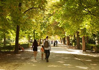 Esta es la ciudad más verde y limpia de México