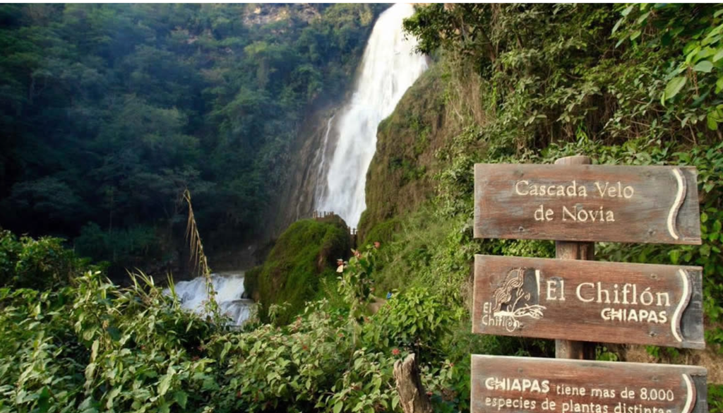 El Chiflón es un sistema de cascadas monumentales de caída vertical, que toman un color azulado gracias al constante proceso de erosión de sus rocas. Imagen tomada de Gobierno de México.