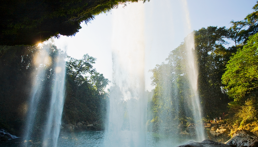 La cascada Misol-Ha alimenta una poza profunda con suelo de roca caliza. Su alta concentración de minerales tiñen su color a un turquesa profundo durante la temporada seca. Imagen tomada de Gobierno de México.