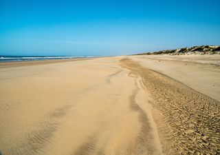 Il s'agit de la plus longue plage d'Espagne : elle s'étend sur près de 30 kilomètres et se situe dans un parc national !