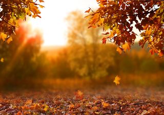 Está por iniciar el otoño 2022 con algunas lluvias