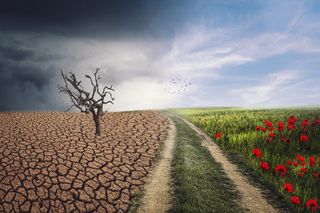 ¿Está preparada la Tierra para soportar lo que está ocurriendo en lo que llevamos de 2023?