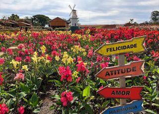 Está procurando um refúgio? Veja 7 destinos no interior de SP para visitar em um fim de semana