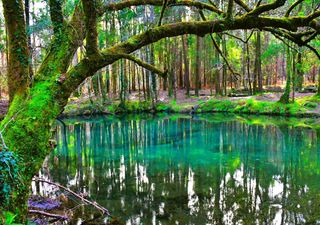 Está pronto para descobrir a lagoa mais azul de Portugal?