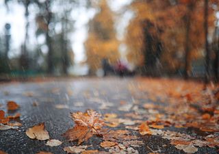 Esta semana em Portugal: muita chuva, vento forte e… neve à vista?