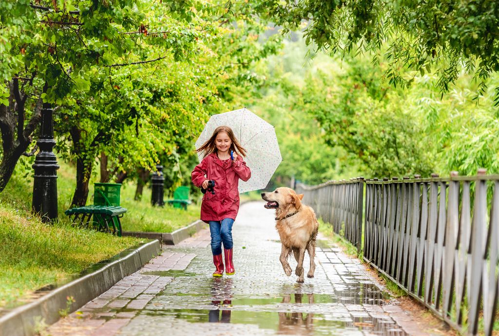 niña con un paraguas caminando al lado de un perro, en una calle mojada por la lluvia