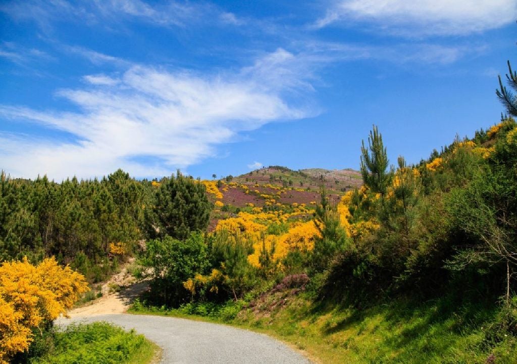 serra Amarela Envolvida pela Serra Amarela, a povoação de Germil é um autêntico miradouro de belíssimas paisagens naturais. Foto: Aldeia de Portugal