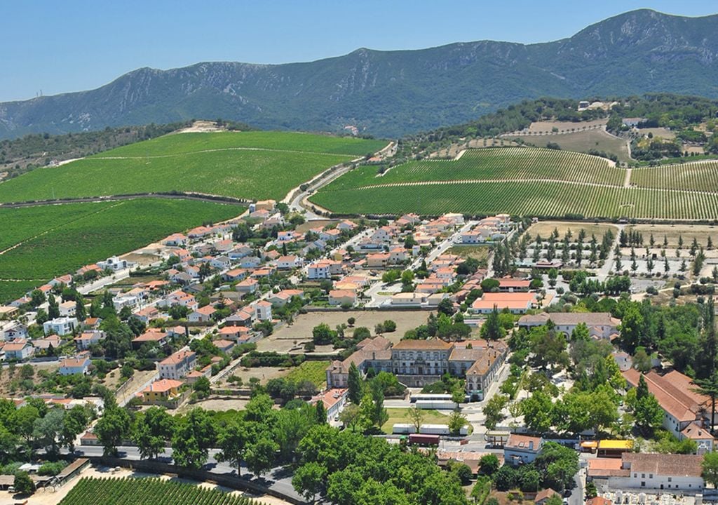 A vila portuguesa que conquistou a ONU: queijo, moscatel e paisagens de cortar a respiração a menos de uma hora de Lisboa. Foto: Mun. Setúbal
