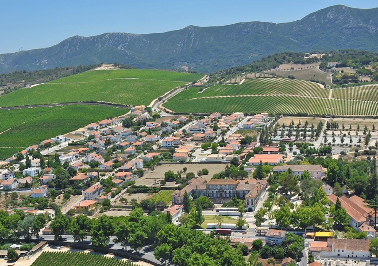 A vila portuguesa que conquistou a ONU: queijo, moscatel e paisagens de cortar a respiração a menos de uma hora de Lisboa. Foto: Mun. Setúbal