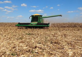 La estabilidad climática permitió el avance positivo de la campaña agrícola, aunque el maíz concentra todas las alertas