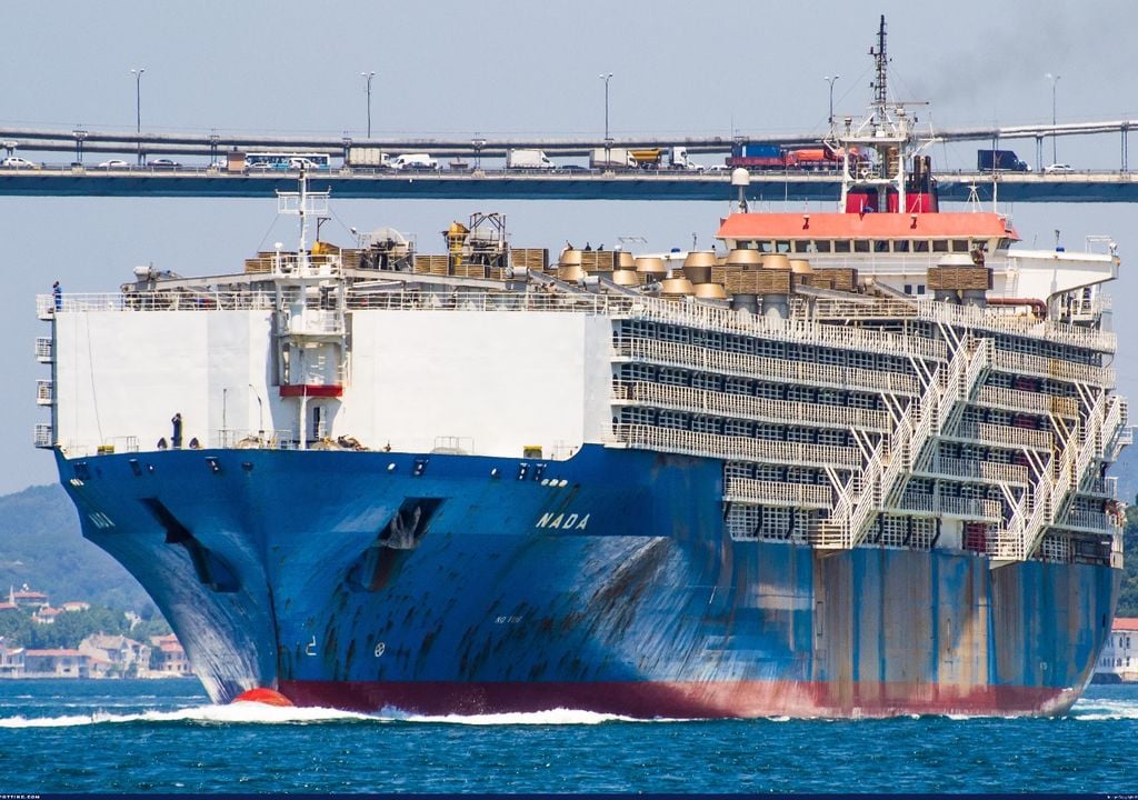 Le navire Nada est le plus grand transporteur de bétail au monde. Avec l'aimable autorisation de : Shipspotting.com