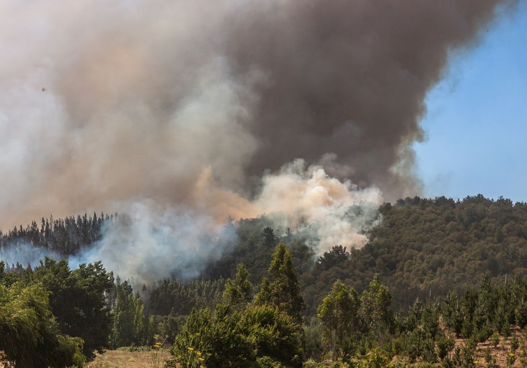 columna de humo de un incendio forestal