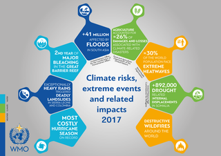 Estado del clima en 2017: condiciones meteorológicas extremas y efectos devastadores
