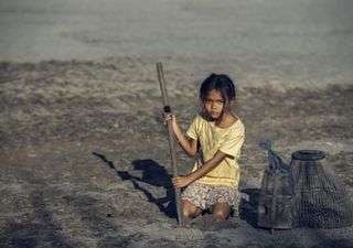 Estado del clima mundial