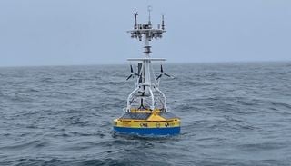 Estados Unidos: el gobierno de Donald Trump apaga su red de sensores oceánicos más importante