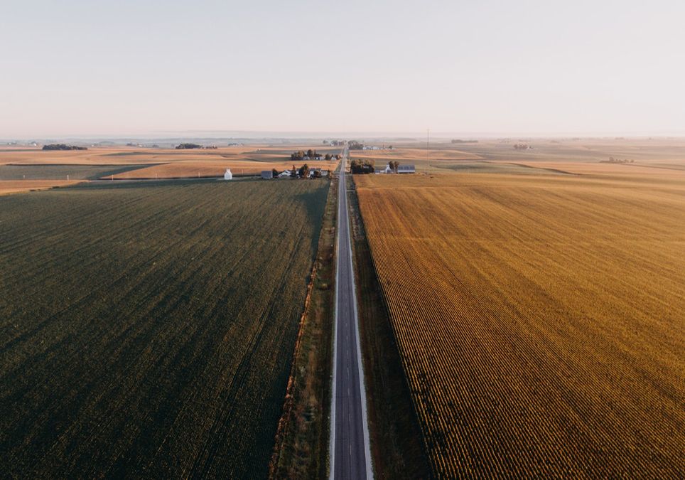 Trigo Siembra Cosecha Maíz Soja Trigo Siembra Cosecha Maíz Soja
