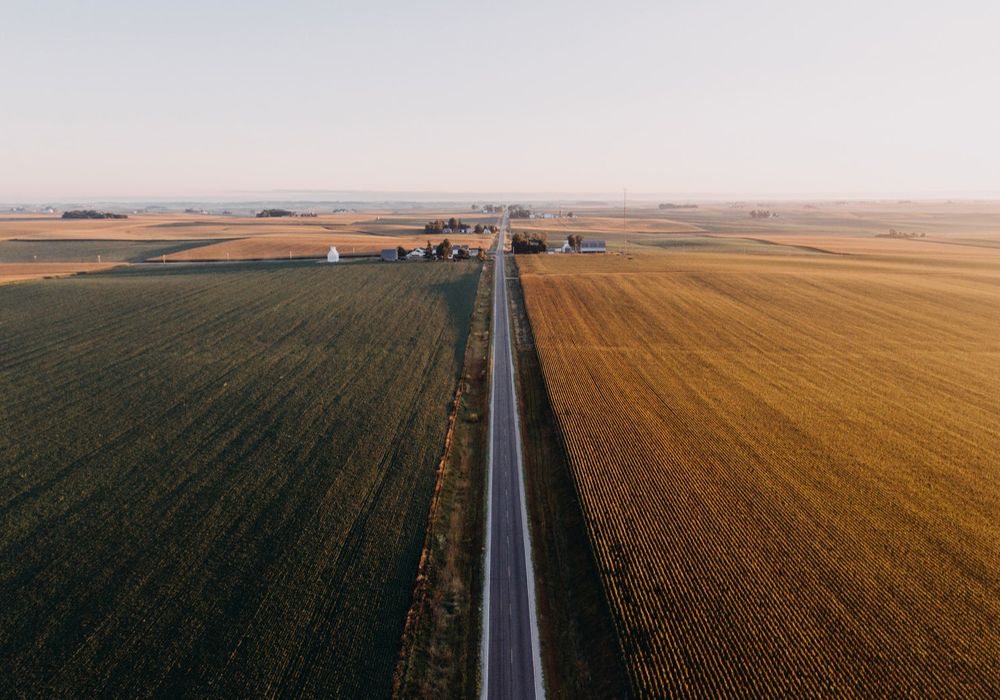 Trigo Siembra Cosecha Maíz Soja