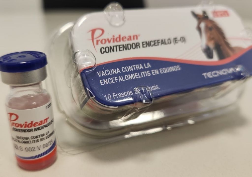 vacuna caballos