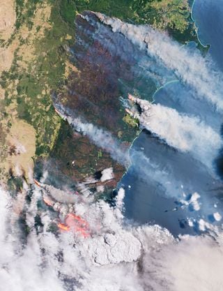 ¿Están relacionados los incendios con las algas marinas?