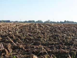 Estarão os solos agrícolas a adoecer?