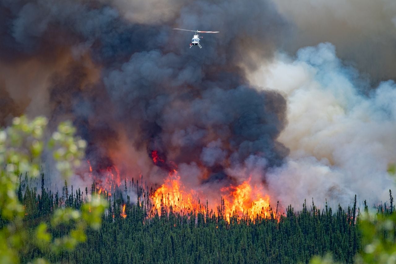 Las labores de lucha contra el fuego se priorizan en aquellas zonas del país donde las personas y los bienes están directamente afectados. Este año la situación en Canadá es crítica.