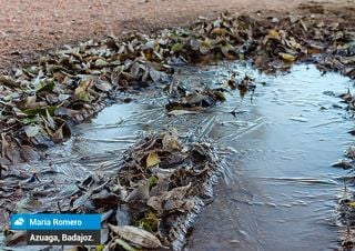 Estas heladas intensas, ¿remitirán en los próximos días?