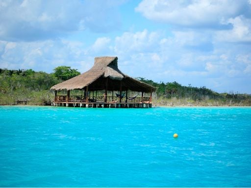Estas "piedras" vivas son una de las formas de vida m&aacute;s antiguas del planeta y apenas quedan: su refugio es Bacalar