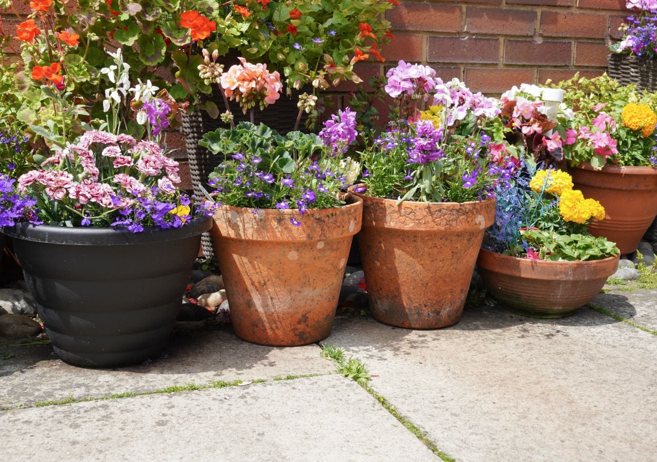 Unas simples macetas pueden llenar de vida y color un patio de casa.