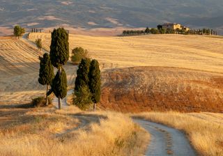 Inizia l'estate meteorologica, ecco quando sarà il solstizio