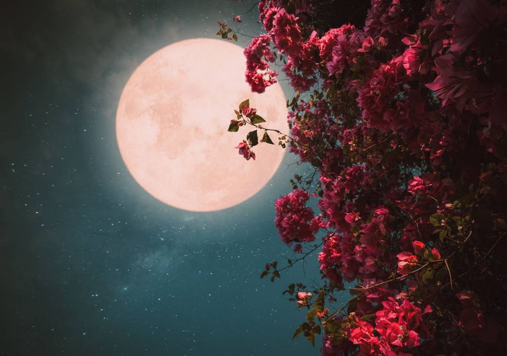 luna llena rosa