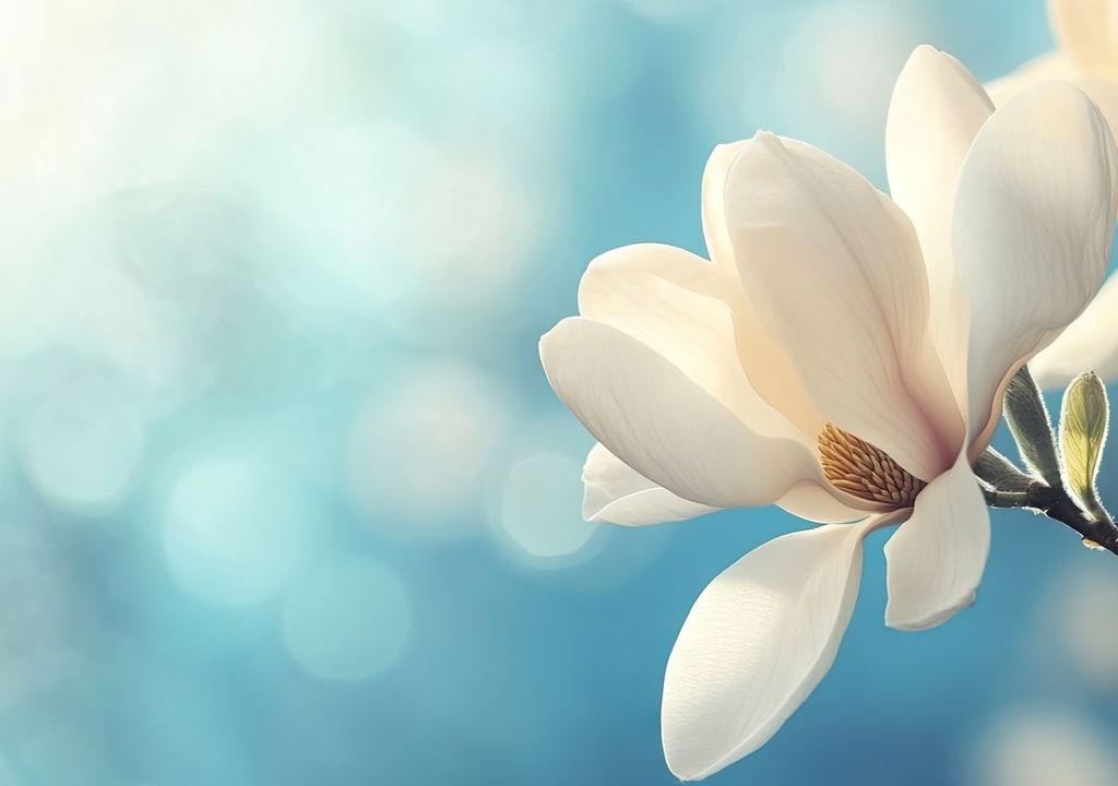 flor flor