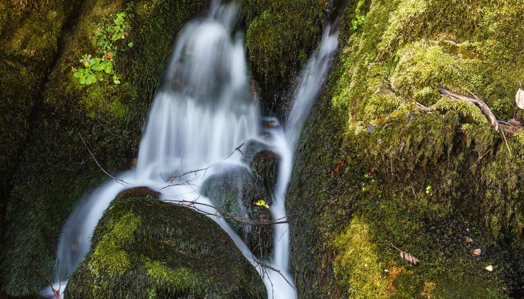 Teixadal de Casaio Muy cerca del bosque se conservan los restos de las antiguas minas de Valborraz