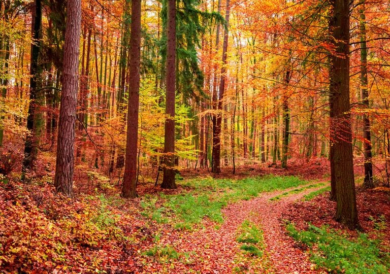 Este día empieza el otoño 2025, ¿cambiamos también la hora?