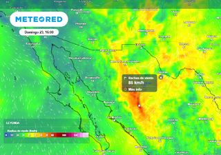 Este domingo, el frente frío 16 y masa de aire, generan lluvia, viento y caída de nieve