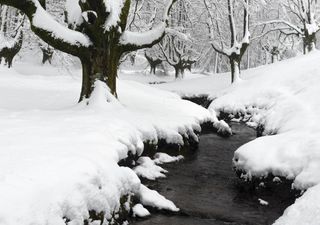 Este domingo la nieve aparecerá en Madrid, Castilla y León, Aragón y en estas 8 comunidades más