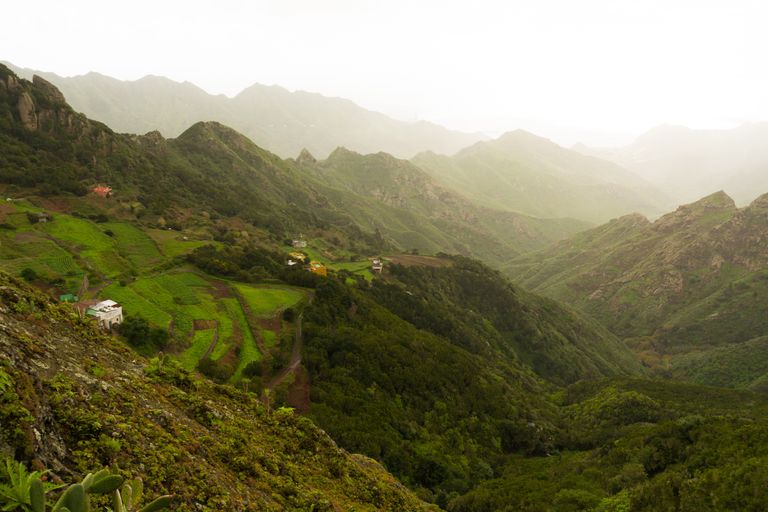 Tenerife Tenerife