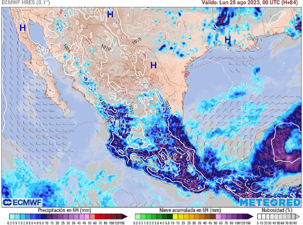 Modelo ECMWF - Tipo de precipitación