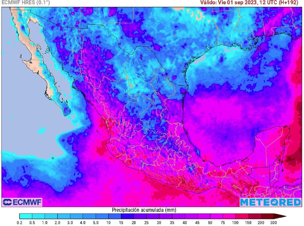 Modelo ECMWF - Acumulado de lluvias en milímetros