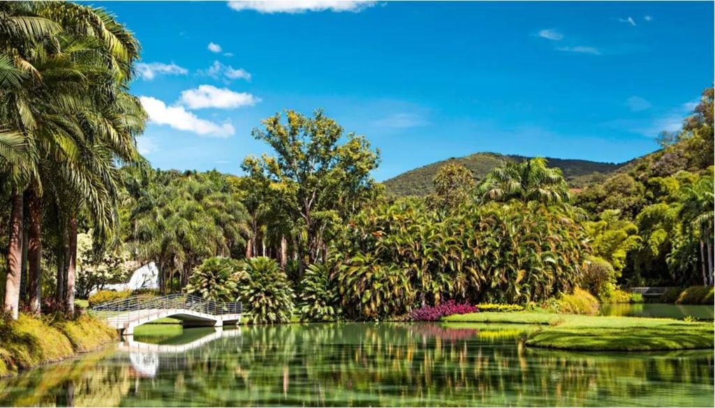 O jardim de Inhotim tem a maior coleção em número de espécies de plantas vivas entre os jardins botânicos brasileiros. Crédito: Viviane Ponti/Getty Images.