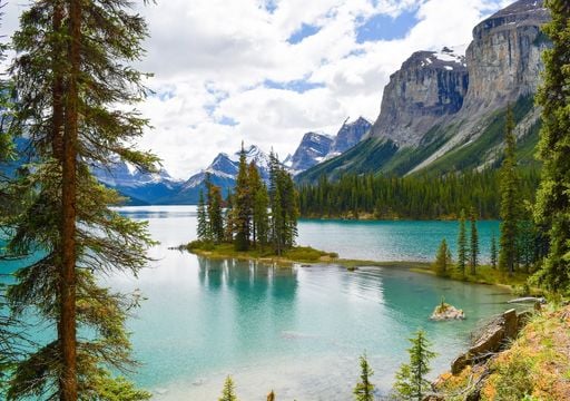 Este parque natural de Canad&aacute; esconde una ruta &uacute;nica, y adem&aacute;s podr&aacute;s ver osos y alces de cerca