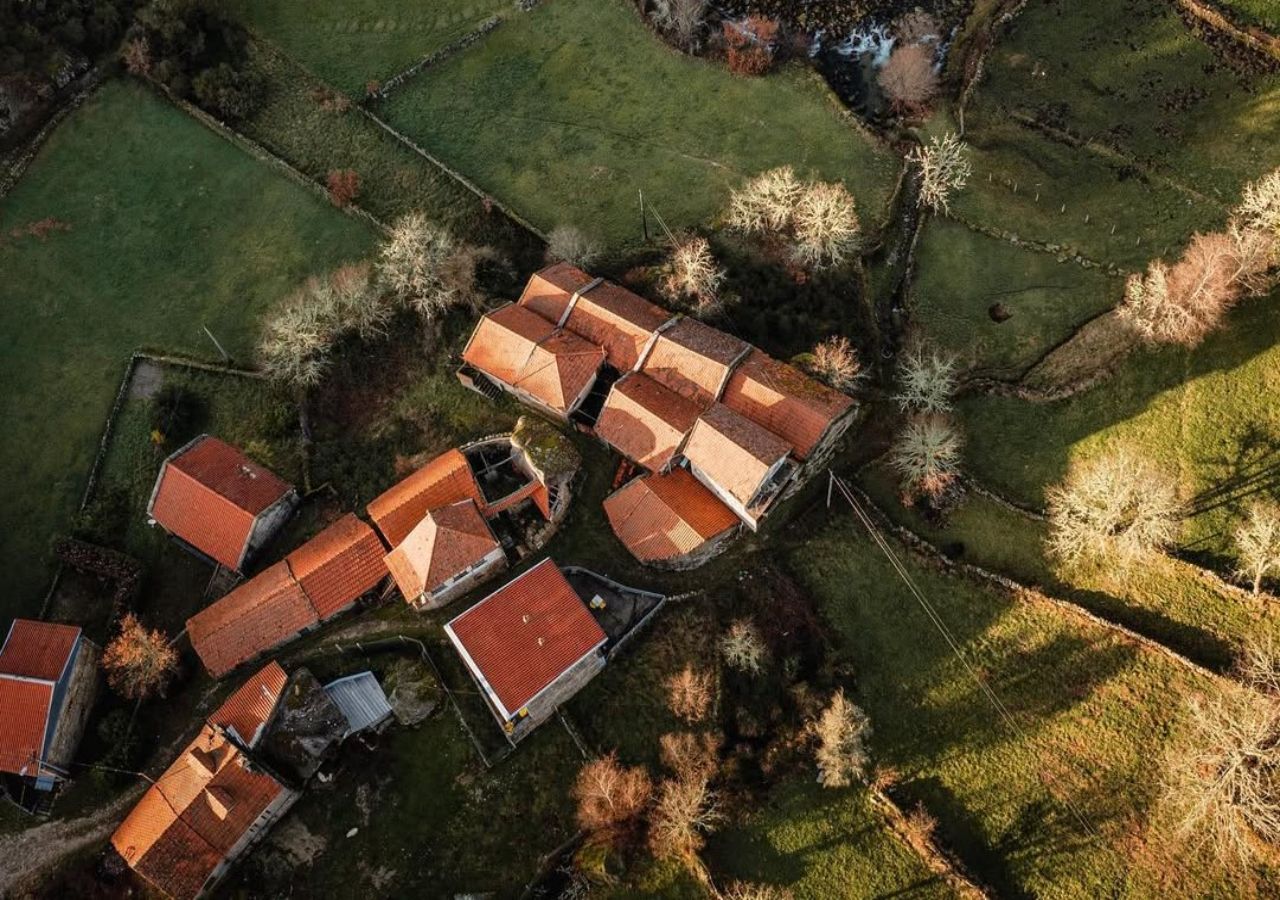Boas notícias. Foto: Instagram // Fundo da Aldeia de Varziela