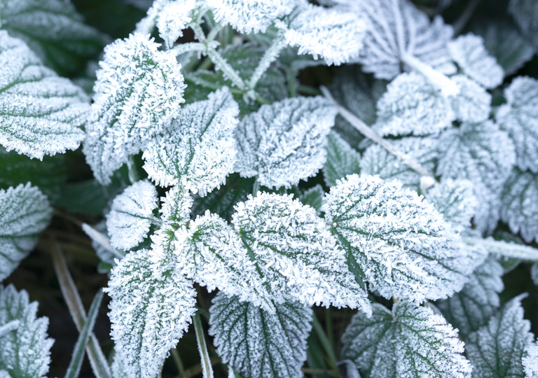 Este sería el día más helado de la semana en Santiago: mínimas cercanas a 0 °C