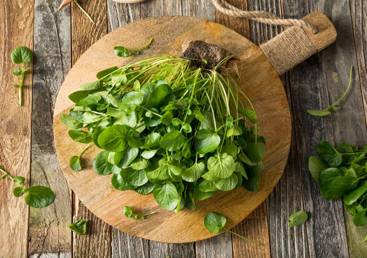 Ce légume est le plus nutritif au monde, mais presque personne ne le mange ! De quel légume s