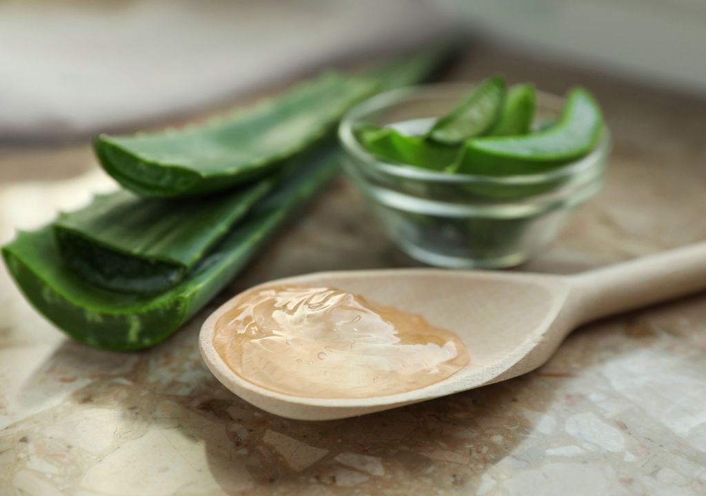 Aloe Vera Aloe Vera