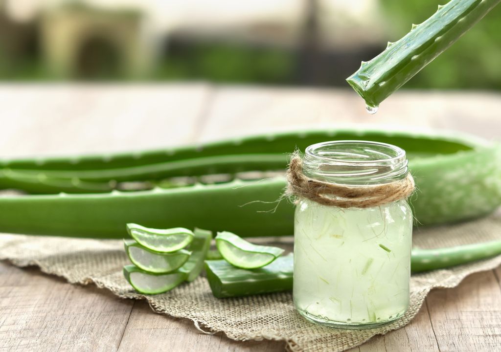 Aloe Aloe